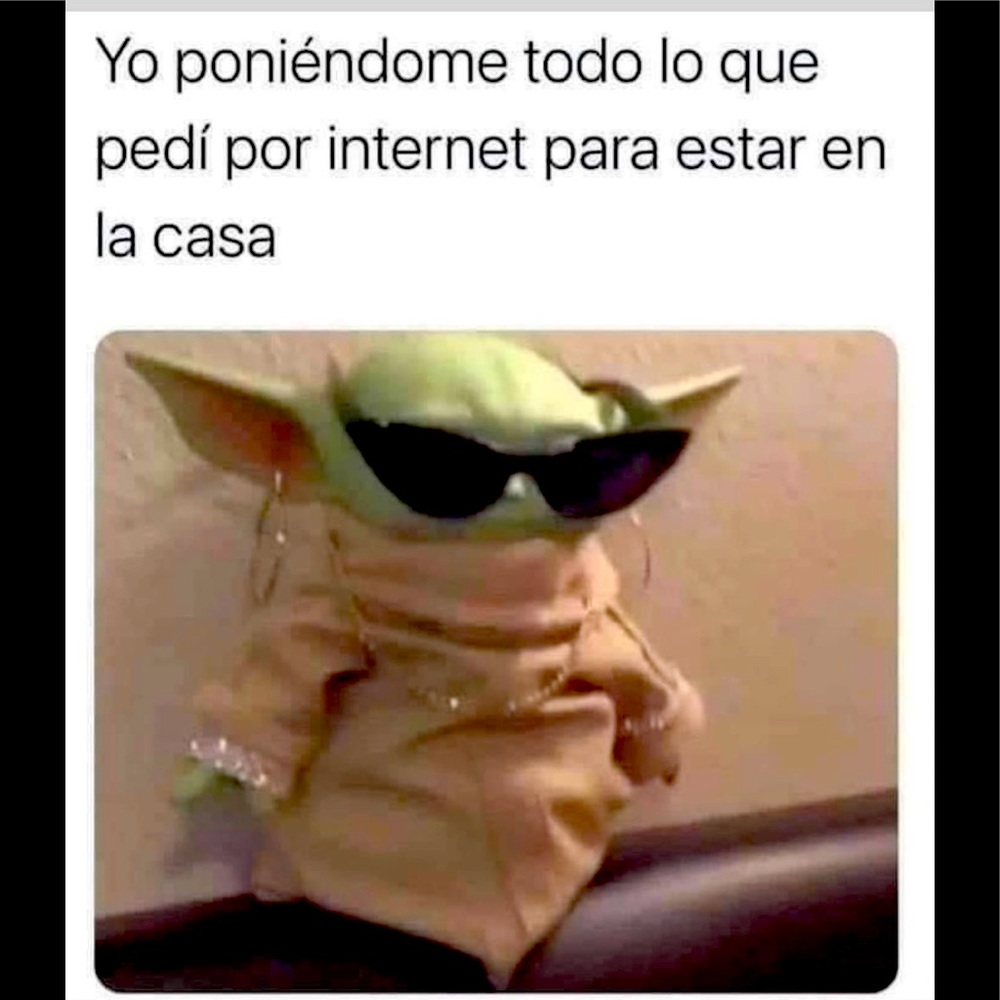 Stayhome bilingual yoda dressed with Poshmark buys